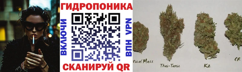 закладки Дербент Марихуана ГИДРОПОН